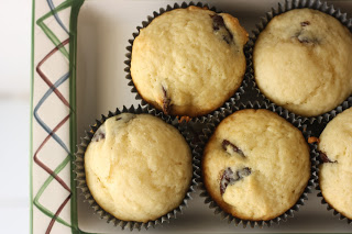 Muffin - Cupcake