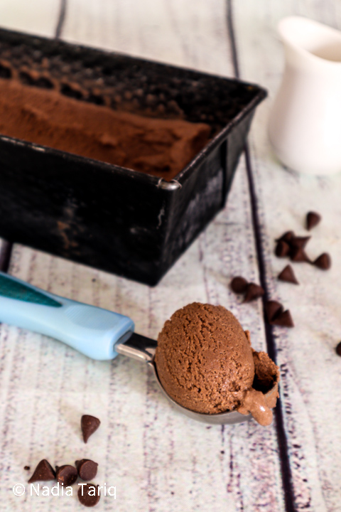 Chocolate Ice Cream in a scoop